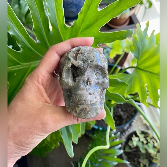 Moss Agate Skull - Picture 5 of 6